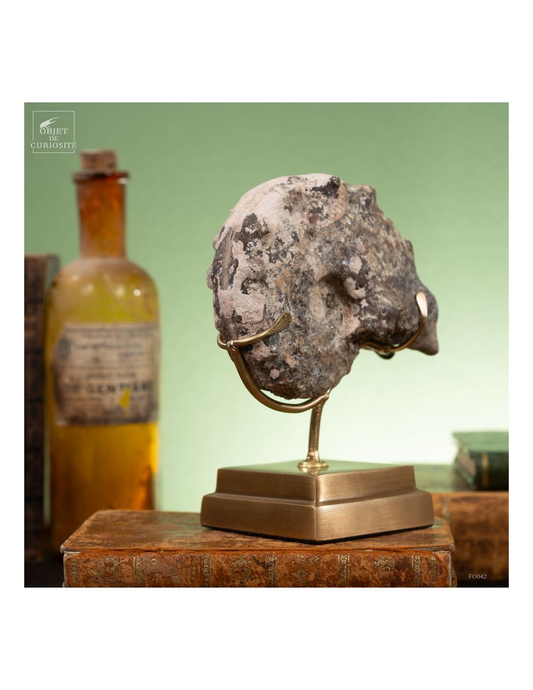 Goniatite à pics sur base laiton Goniatite à pics sur base laiton