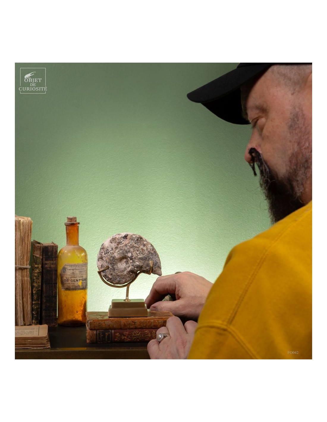 Goniatite à pics sur base laiton Goniatite à pics sur base laiton