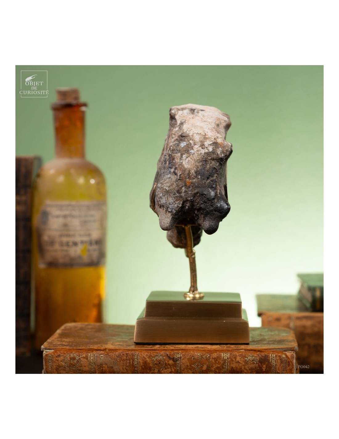 Goniatite à pics sur base laiton Goniatite à pics sur base laiton