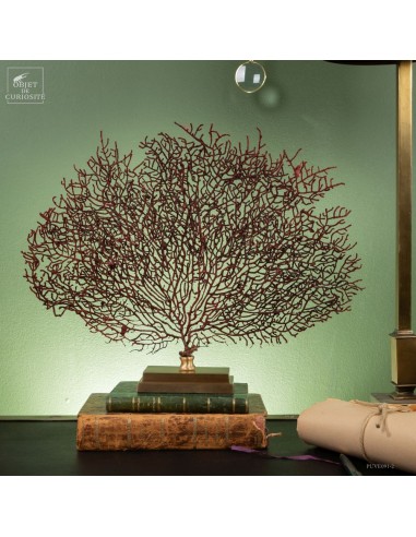 Gorgone rouge sur base laiton