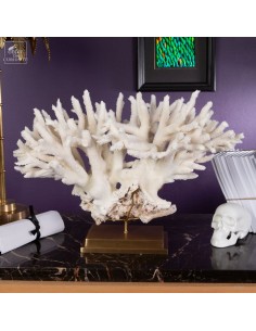 White coral- ACROPORA NOBILIS