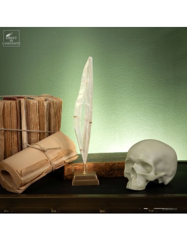 Gypse de Caresse (France) sur base en...