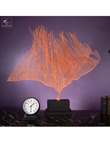 Lyre gorgonian (Ctenocella pectinata)