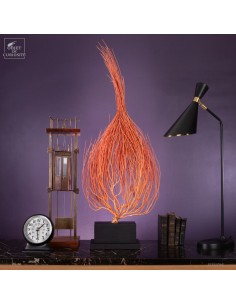 Flame Sea Fan on Black...