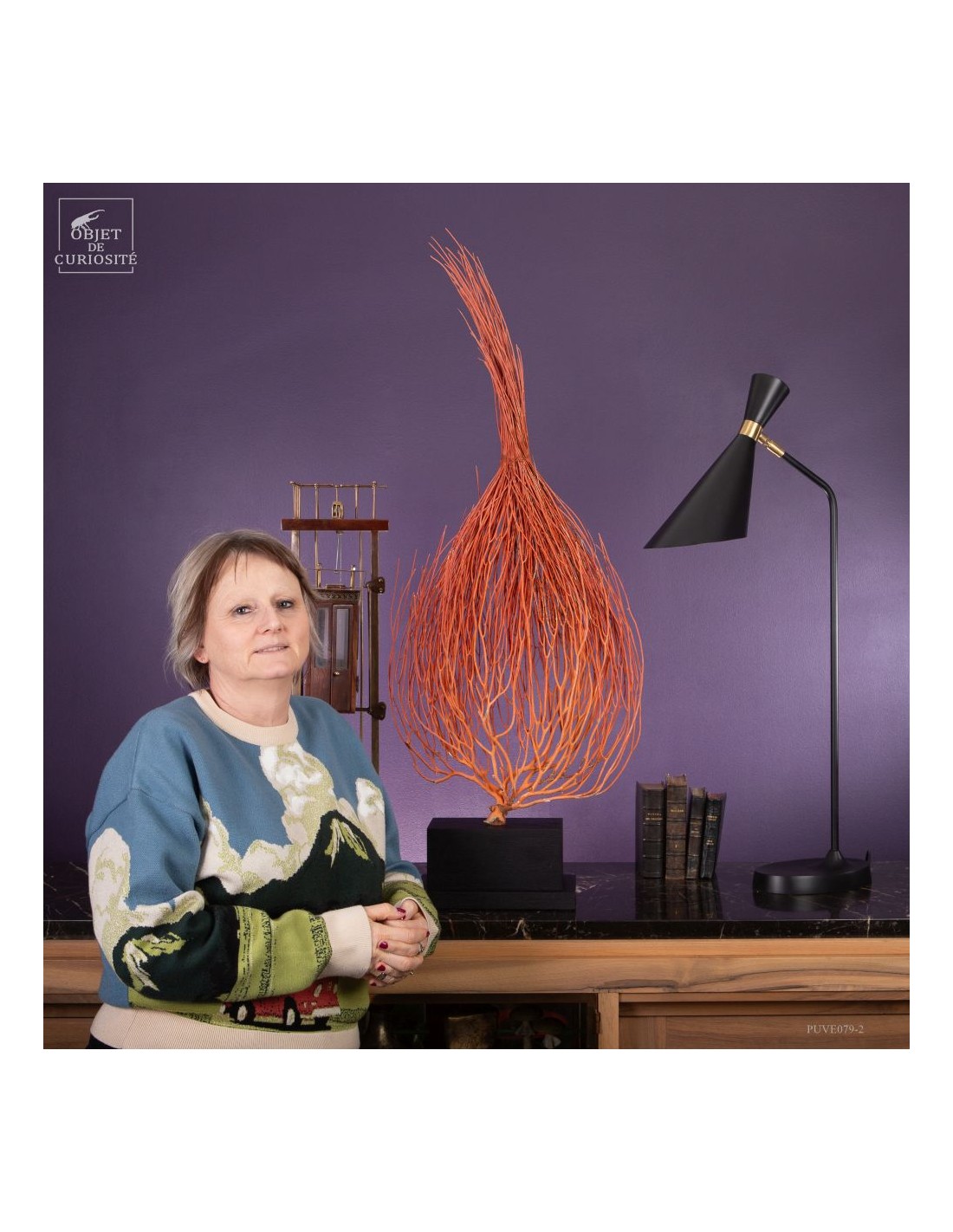 Gorgone Flamme (Ellisella grandis) Gorgone Flamme (Ellisella grandis)