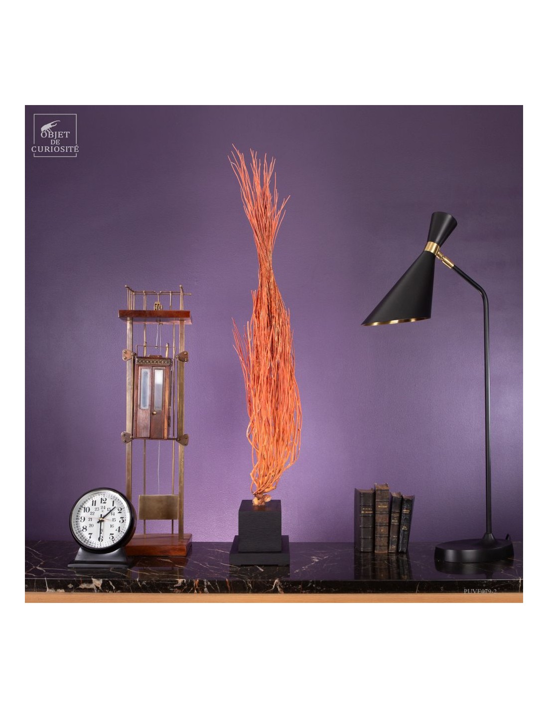 Gorgone Flamme (Ellisella grandis) Gorgone Flamme (Ellisella grandis)