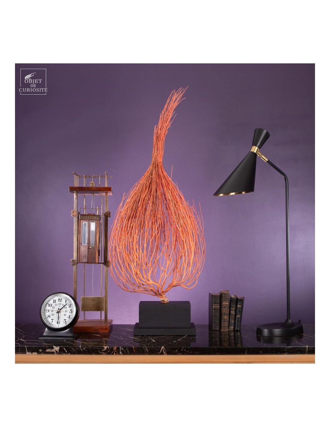 Gorgone Flamme (Ellisella grandis) Gorgone Flamme (Ellisella grandis)