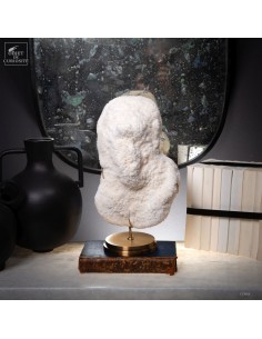 White coral HALOMITRA PILEUS