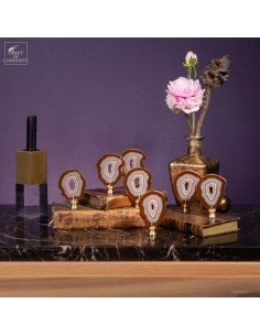 Serie of 7 golden Agate slices