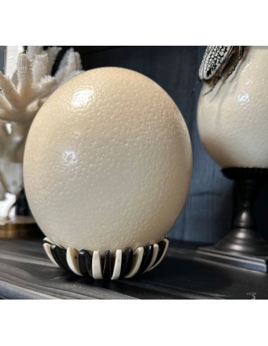 Ostrich egg on bone and horn base