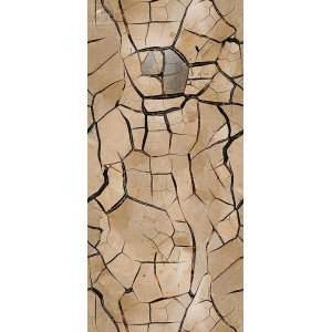 Rouleau SEPTARIA (3541B) 960cmX50cm Raccord droit