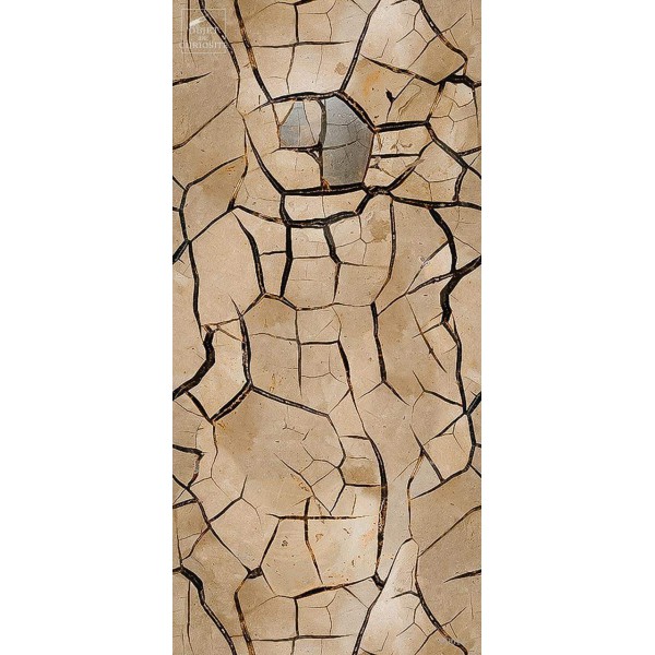 Rouleau SEPTARIA (3541B) 960cmX50cm Raccord droit