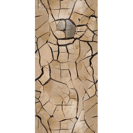 Rouleau SEPTARIA (3541B) 960cmX50cm Raccord droit
