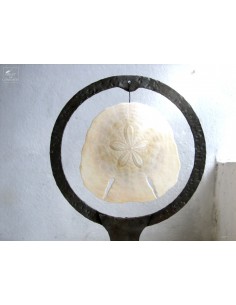 Large sand dollar in metal... 2