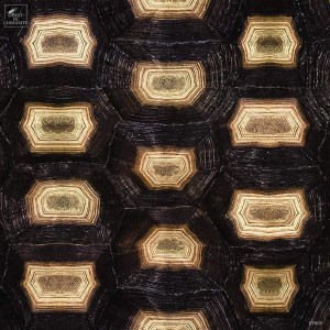 Rouleau TORTUE (3325B) 10mX50cm