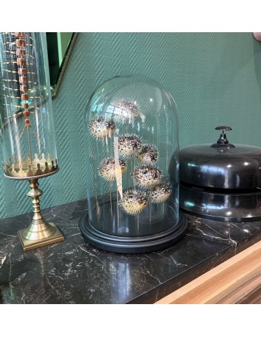 Globe de 8 mini diodons