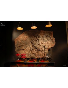 Giant Crinoides wall or floor mount 2