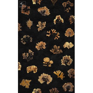 Rouleau JUNGLE D'ALGUES NOIR 10mX50cm