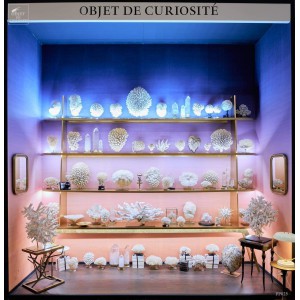 Dégradé de couleurs (3563B) Rouleau SANDI SJO' Raccord droit 2