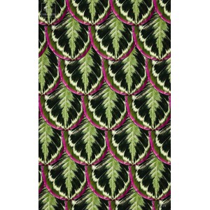 Rouleau JUNGLE SKIN (3364A) 10mX50cm Raccord droit