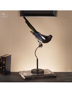 Pie bavarde  – Taxidermie