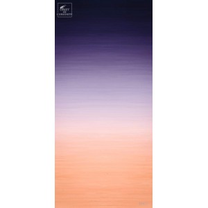 Dégradé de couleurs (3563B) Rouleau SANDI SJO' Raccord droit