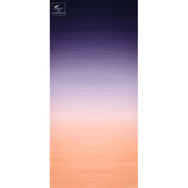 Dégradé de couleurs (3563B) Rouleau SANDI SJO' Raccord droit