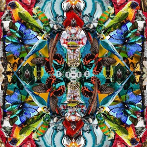 Rouleau KALEIDOSCOPE (3555A) 10mX50cm  Raccord droit