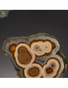 Marcassite covering Baryte,... 2