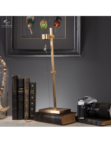 Météorite ferreuse Aletaï en lévitation Météorite ferreuse Aletaï en lévitation