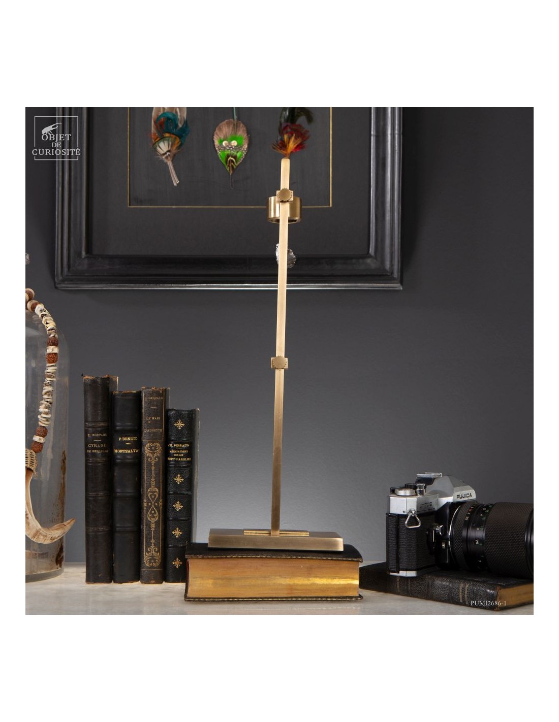 Météorite ferreuse Aletaï en lévitation Météorite ferreuse Aletaï en lévitation