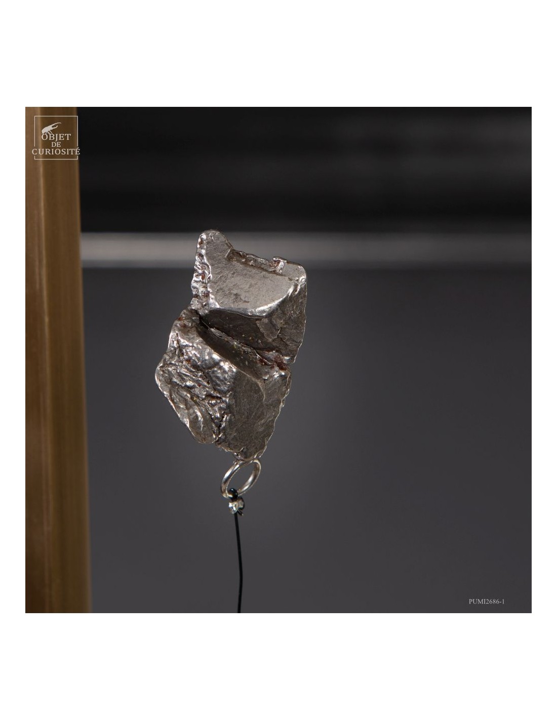 Météorite ferreuse Aletaï en lévitation Météorite ferreuse Aletaï en lévitation