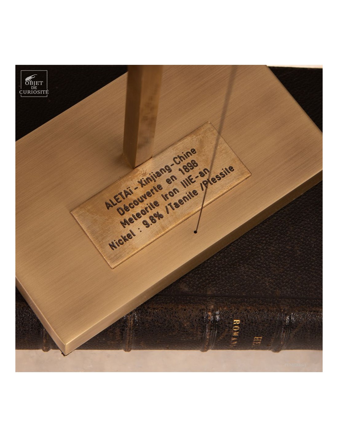 Météorite ferreuse Aletaï en lévitation Météorite ferreuse Aletaï en lévitation