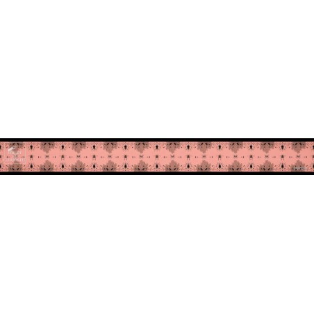 Frise insectes CURIOSITY LACE (363OA) / par rouleaux