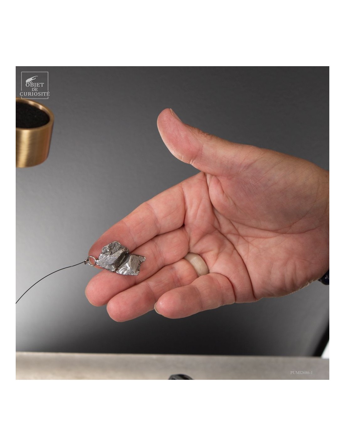 Météorite ferreuse Aletaï en lévitation Météorite ferreuse Aletaï en lévitation