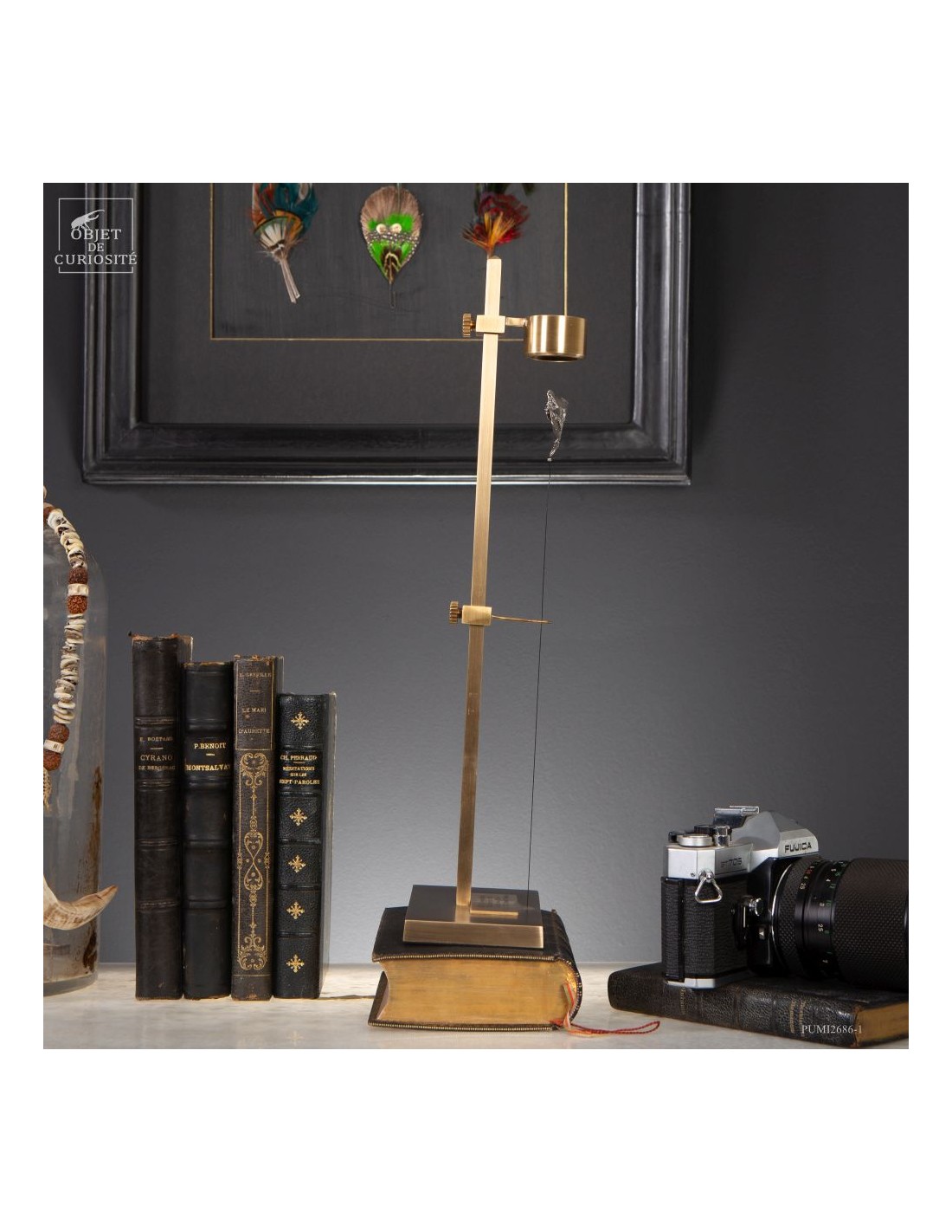 Météorite ferreuse Aletaï en lévitation Météorite ferreuse Aletaï en lévitation