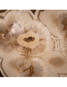 Marcassite covering Baryte,... 2