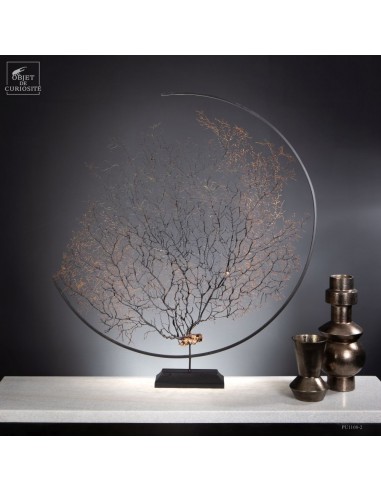 Spicky black sea fan in metal circle