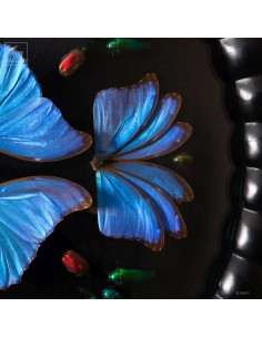 Graphic composition: MORPHO... 2