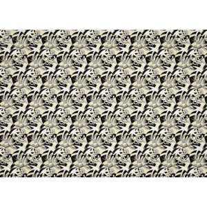 Rouleau BALI (3633A) 10m X 50cm - Raccord droit