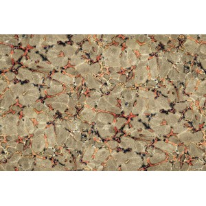 Rouleau CORAIL (3631A) 50cm X 960cm - Raccord droit