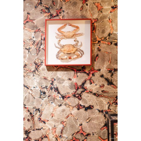Rouleau CORAIL (3631A) 50cm X 960cm - Raccord droit