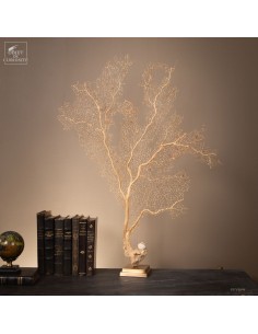 White sea fan