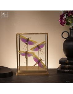 4 Violet Grasshoppers from...