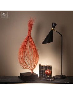 Flame Sea Fan on Black...