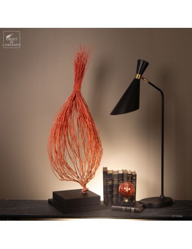 Gorgone Flamme (Ellisella grandis)