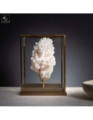 CORALLOID ARAGONITE (Portugal)