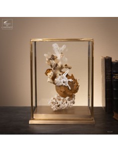 Poisson-grenouille...