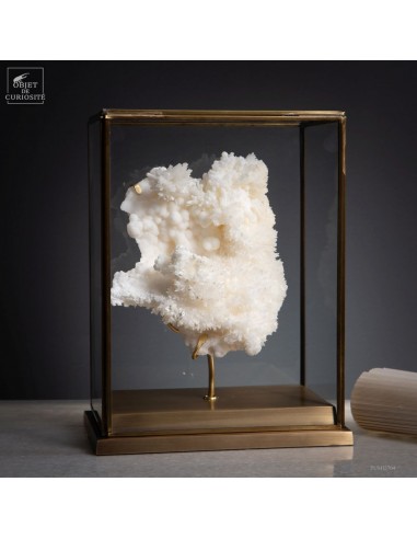 CORALLOID ARAGONITE (Portugal)