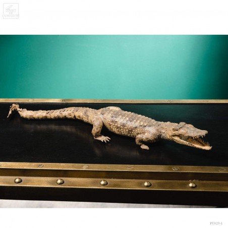 Stuffed crocodile 60cm
